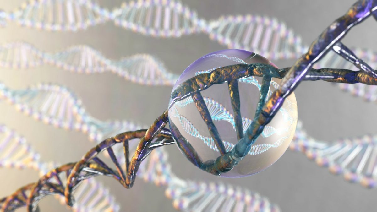 RNA, DNA Beautiful model on a blurred background, 3d rendering